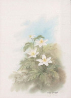FLOWERS Vintage Ansichtskarte Postkarte CPSM #PBZ875.DE - Blumen