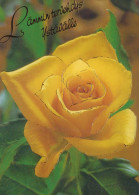 FIORI Vintage Cartolina CPSM #PAS345.IT - Flowers