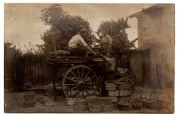 Triage Des Pommes De Terre Dans La Cour De La Ferme. Carte Photo Animée Non Située - Campesinos