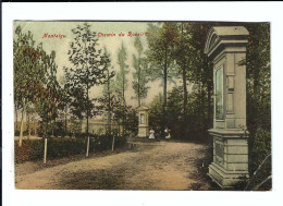 Scherpenheuvel  Montaigu  Chemin De Rozair  1910  Edit : Sieben -Janssens - Scherpenheuvel-Zichem