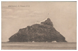 TT0042/ Kap Cap Verde   Bird Island St, Vincent  AK Ca.1910 - Unclassified