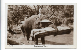 S4518/ Elephants At Work Elefanten  Indien Foto AK  - India