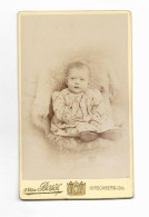 Y27797/ CDV Foto Kleines Kind, Baby Atelier Van Bosch, Hirschberg Schlesien - Andere & Zonder Classificatie