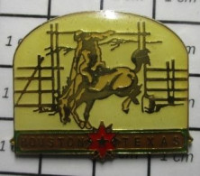 1618A Pin's Pins / Beau Et Rare : VILLES / HOUSTON TEXAS RODEO CHEVAL COW-BOY - Steden