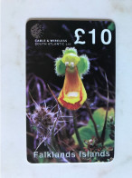 FALKLANDS      MINT - Falkland Islands