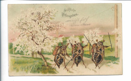 XX18446/ Pfingsten Maikäfer Wandern  Litho AK 1908 - Pinksteren