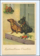 S4062/ Hunde Dackel Und Terrier Schöne AK 1942 - Hunde