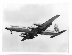 MM0801/ Flugzeug Flying Tigers USA  Foto 24 X 18 Cm 70er Jahre - Autres & Non Classés