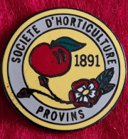SUPER PIN'S "SOCIETE D'HORTICULTURE Depuis 1891 à PROVINS Signé DEMONS Et MERVEILLES - Associations
