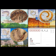 China Maximum Card 2024-4 World Natural Heritage Site - Chengjiang Fossil Site - Cartoline Maximum