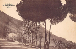 LIBAN - La Route De Souk El Gharb (orthographié Souk El Karb) - Ed. Jean Torossian 29 - Libanon