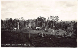 Australia - LAKE BARRINE (QLD) Homestead - REAL PHOTO - Publ. W. J. Laurie  - Andere & Zonder Classificatie