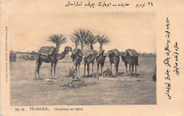 Yemen - HODEIDAH - Camels At Rest - Publ. L. Tjambaz 24. - Jemen