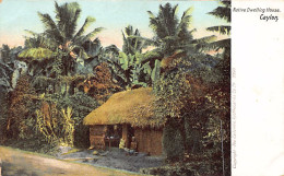Sri Lanka - Native Dwelling House Publ. The Colombo Apothecaries Co. Ltd. 3390 - Sri Lanka (Ceylon)