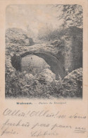 Walcourt Ruines Du Rossignol - Cpa De 1900 - Walcourt