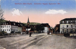 Sernnheim - Schlachten August September 1914 Gel.1916 - Elsass