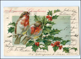 Y18076/ Vögel Singvögel  Weihnachten Christmas Litho Präge AK 1906 - Oiseaux