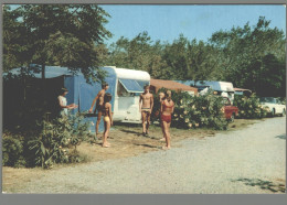 CPM 66 - Canet En Roussillon - Camping International Brasilia - Canet En Roussillon
