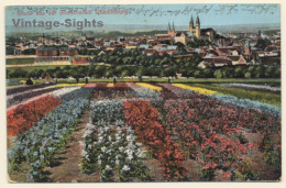 Quedlinburg / Sachsen-Anhalt: Total View - Blumenstadt (Vintage Postcard ~1920s) - Quedlinburg