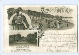 XX009953/ Gruß Aus Wyk Auf Föhr Litho AK 1901 - Föhr