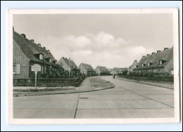 XX005966/ List Auf Sylt Landwehrdeich 1954 AK - Sylt