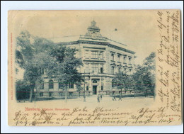 XX005370/ Hamburg  Wilhelm Gymnasium, Grindeallee/Moorweidenstr. AK 1902 - Eimsbüttel