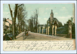 XX005367/ Hamburg  Bergedorf  Wentorferstraße AK 1907 - Bergedorf