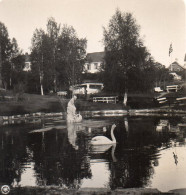 AK-0701/ Lillehammer Stadtpark  Norwegen  NPG Stereofoto Ca.1905  - Ohne Zuordnung