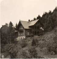 AK-0517/ Wölfelsgrund Prinzl.  Sommerquartier Schlesien NPG Stereofoto Ca.1905  - Non Classés