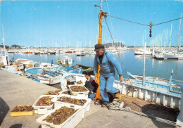 SAINT VAAST LA HOUGUE Le Port De Peche Et De Plaisance Retour Des Pecheurs 2(scan Recto-verso) MA1553 - Saint Vaast La Hougue