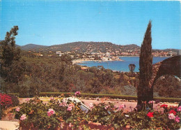 SAINTE MAXIME Vue Generale 23(scan Recto-verso) MA1565 - Sainte-Maxime