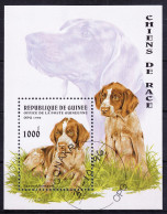 Guinea Block 503 Mit 1602 Gestempelt Hunde #RE094 - Guinea (1958-...)