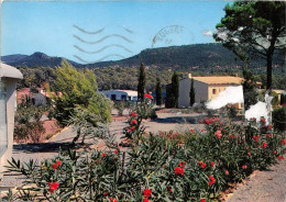 FREJUS Domaine Du Pin De La Legue 10(scan Recto-verso) MA1583 - Frejus