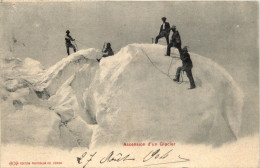 Ascension D Un Glacier - Alpinismo