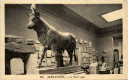 Alexandria - Le Boeuf Apis - Alexandrie