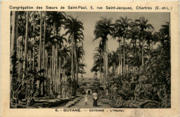 Guyane - Cayenne - L Hopital - Otros & Sin Clasificación