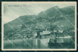 Belluno Alleghe Lago Con Barca Breveglieri 7239 Cartolina RB5645 - Belluno