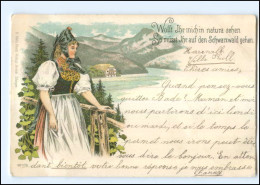 Y11662/ Schwarzald Trachten Litho AK 1897 - Sonstige & Ohne Zuordnung