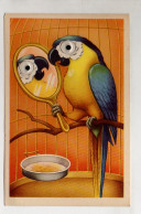 Y11528/ Papagei Kunstoffaugen  AK Ca.1960 - Oiseaux