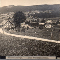 AK-01043/ Riesengebirge Das Weissbachtal  Schlesien Stereofoto Ca.1905  - Unclassified