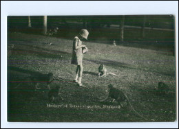 U5372/ Singapore Monkeys Of Botanical Garden  Affen Foto AK Ca.1930 - Autres & Non Classés