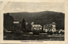 Schlangenbad - Schweizertal - Schlangenbad