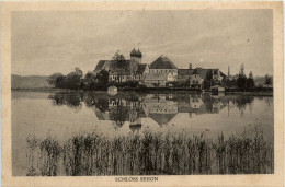 Schloss Seeon - Traunstein