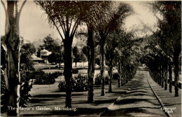Maritzburg - Mayors Garden - Sud Africa