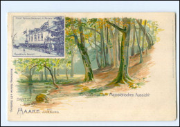 XX003272/ Hamburg Harburg  Haake Majest. Aussicht Litho AK 1902 - Harburg