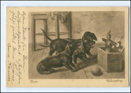 XX002898/ Dackel  Und Puppe  Künstler Ak 1903 - Dogs