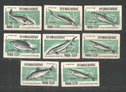 RUSSIA USSR 1960 Matchbox Labels 8v - Fish - Luciferdozen - Etiketten