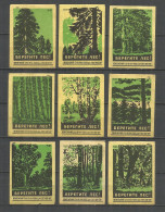 RUSSIA USSR 1960 Matchbox Labels 9v - Take Care Of The Forest - Luciferdozen - Etiketten