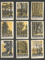 RUSSIA USSR 1960 Matchbox Labels 9v - Take Care Of The Forest - Luciferdozen - Etiketten