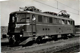 Schweizer Bundesbahn - Lokomotive - Trains